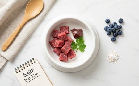 The Ultimate Raw Feeding for Dogs Guide: Is the BARF Diet Safe in 2026?