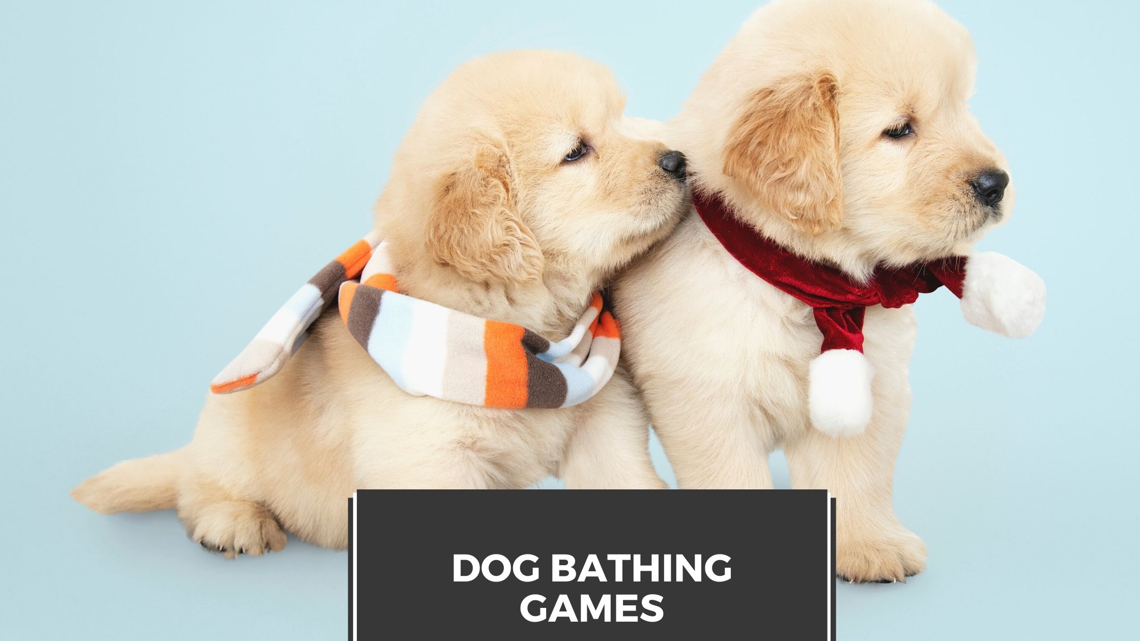 Dog Bathing Games