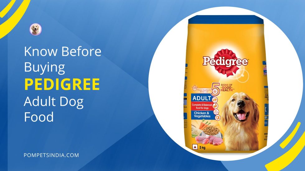 Pedigree Adult Dog Food For Better Nutrition 2023