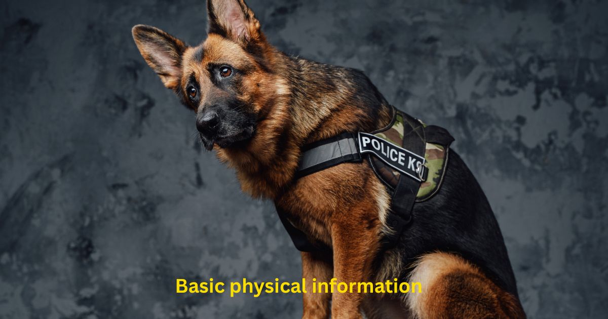 Basic physical information