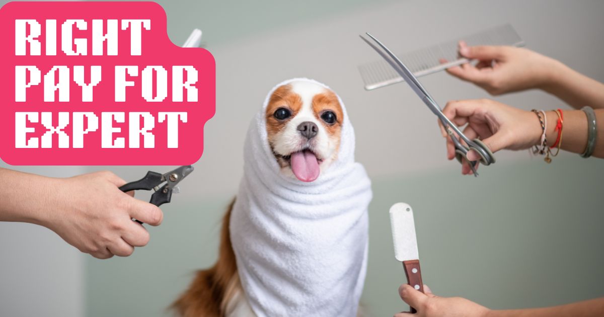 How Much Should You Expect to Pay