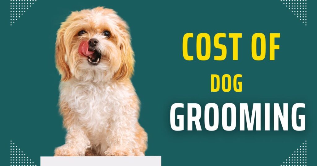 Cost of Dog Grooming