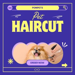 PET'S HAIRCUT